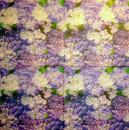 069 Hydrangeas - 3-ply